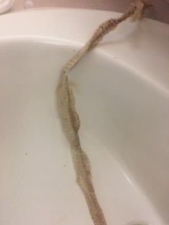 Sterling Heights snake skin